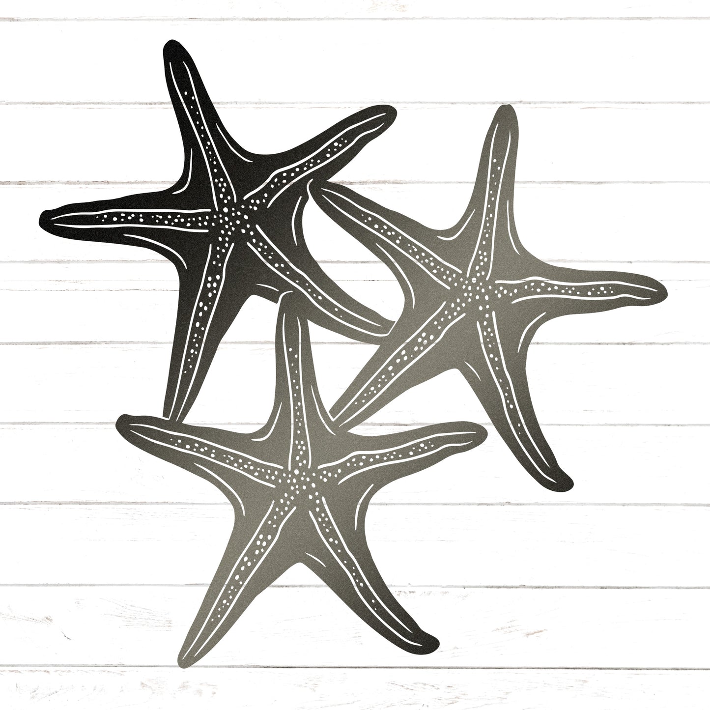 Starfish Trio Wall Decor