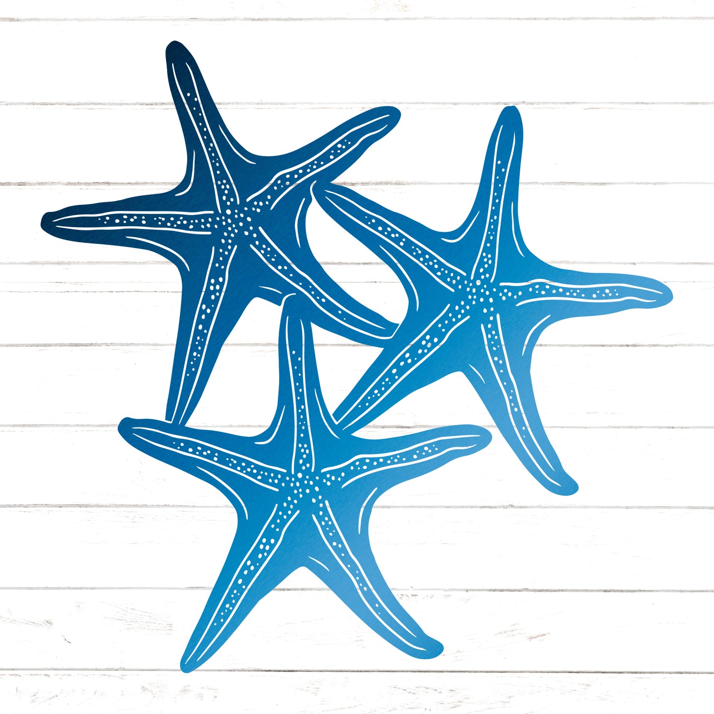 Starfish Trio Wall Decor