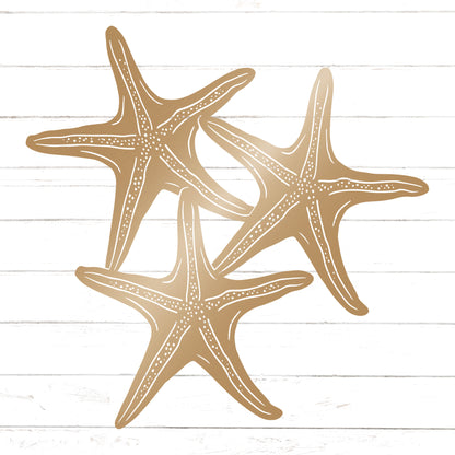 Starfish Trio Wall Decor