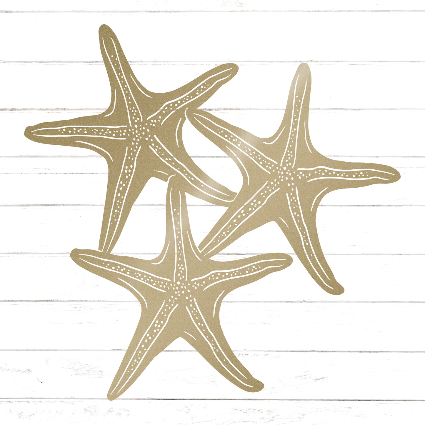 Starfish Trio Wall Decor