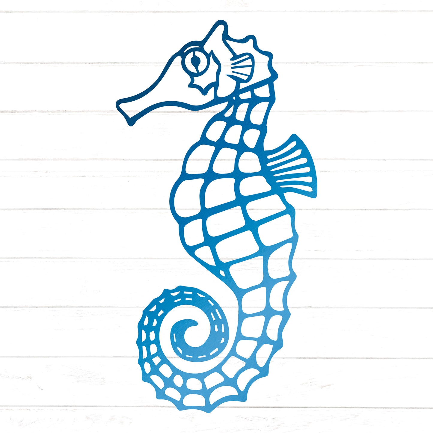 Seahorse