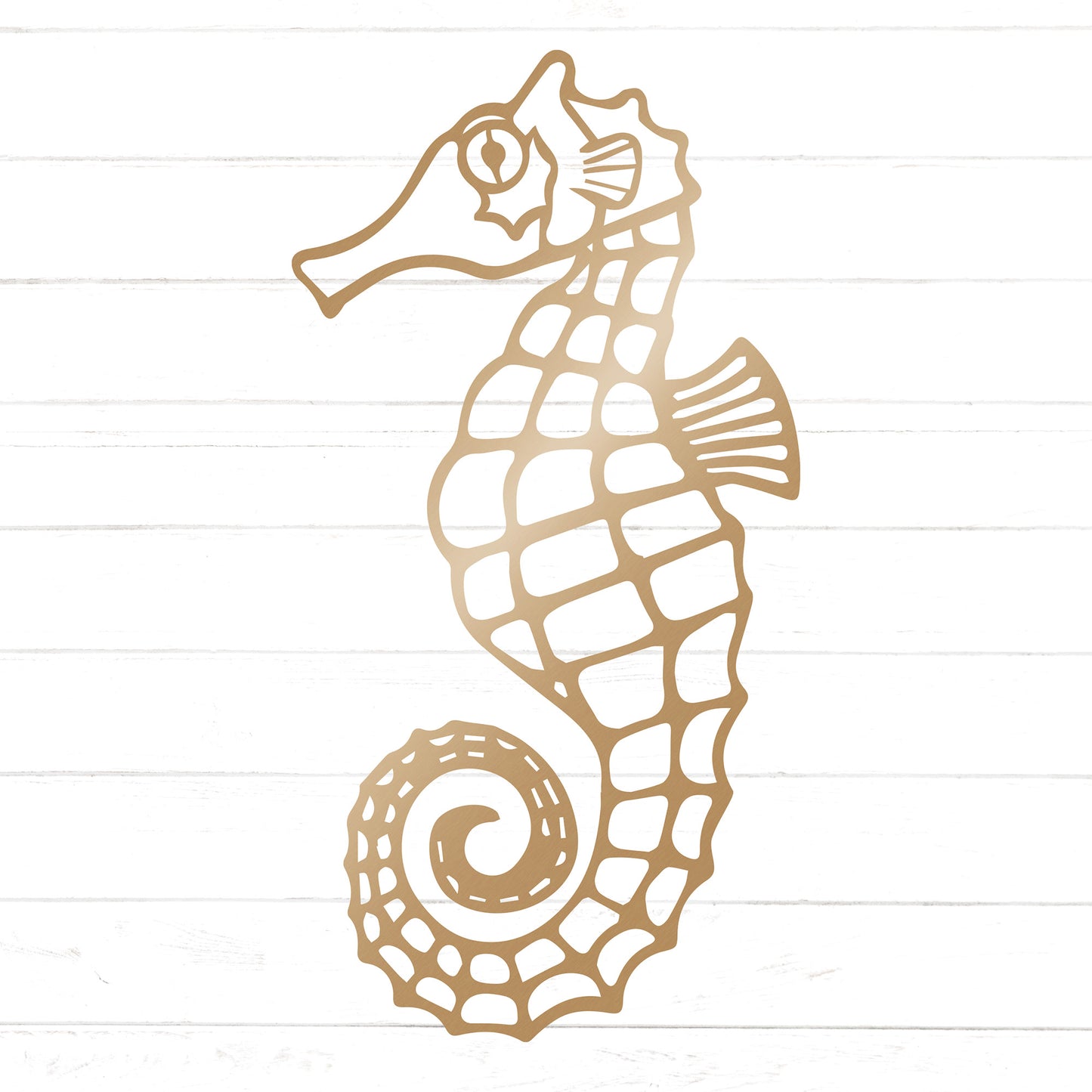 Seahorse