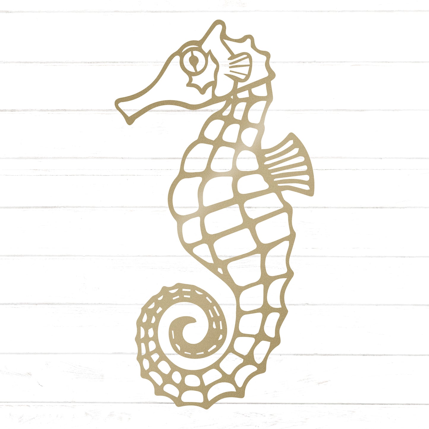 Seahorse