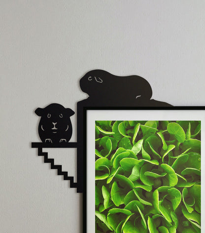 Guinea Pig Door Topper