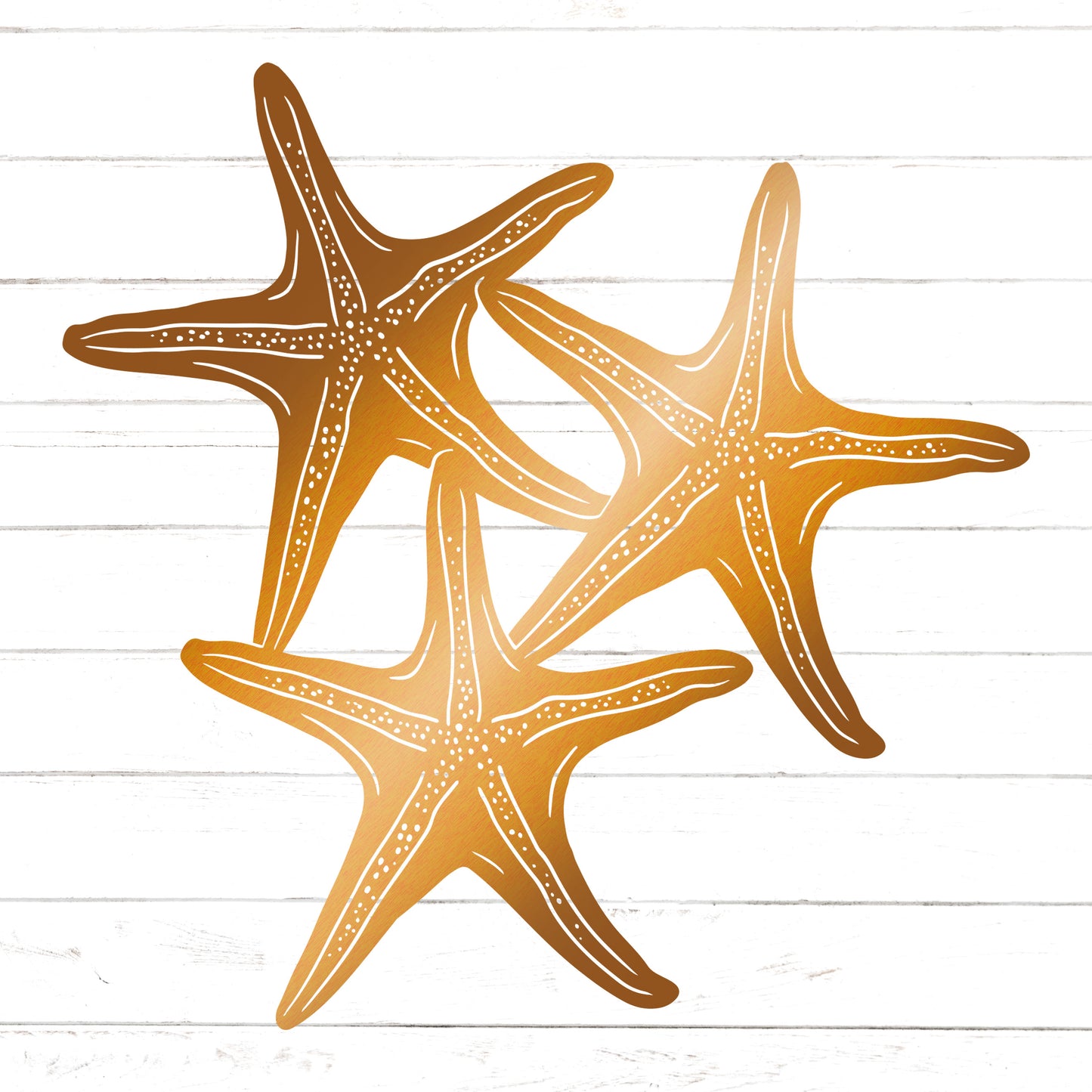 Starfish Trio Wall Decor