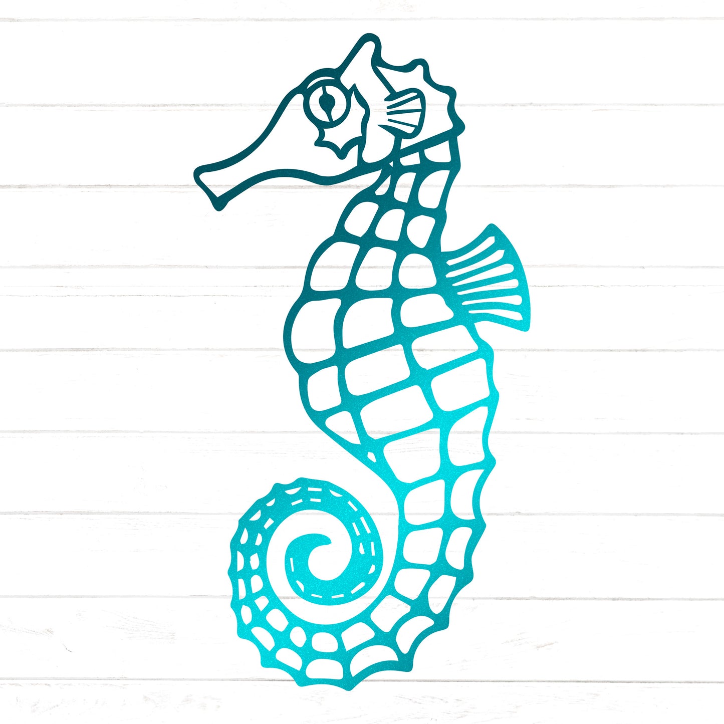 Seahorse